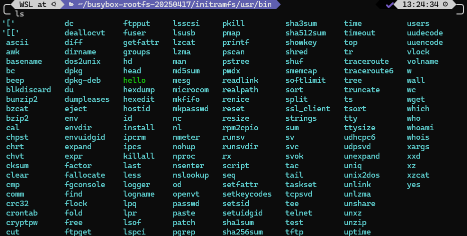 ls output of /usr/bin in host machine